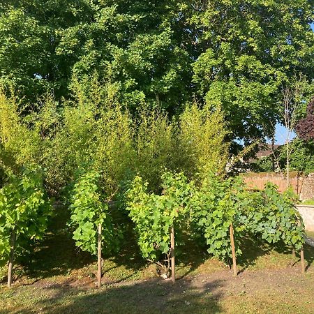 Bed and Breakfast Pierres Et Jardins Senlis  Esterno foto