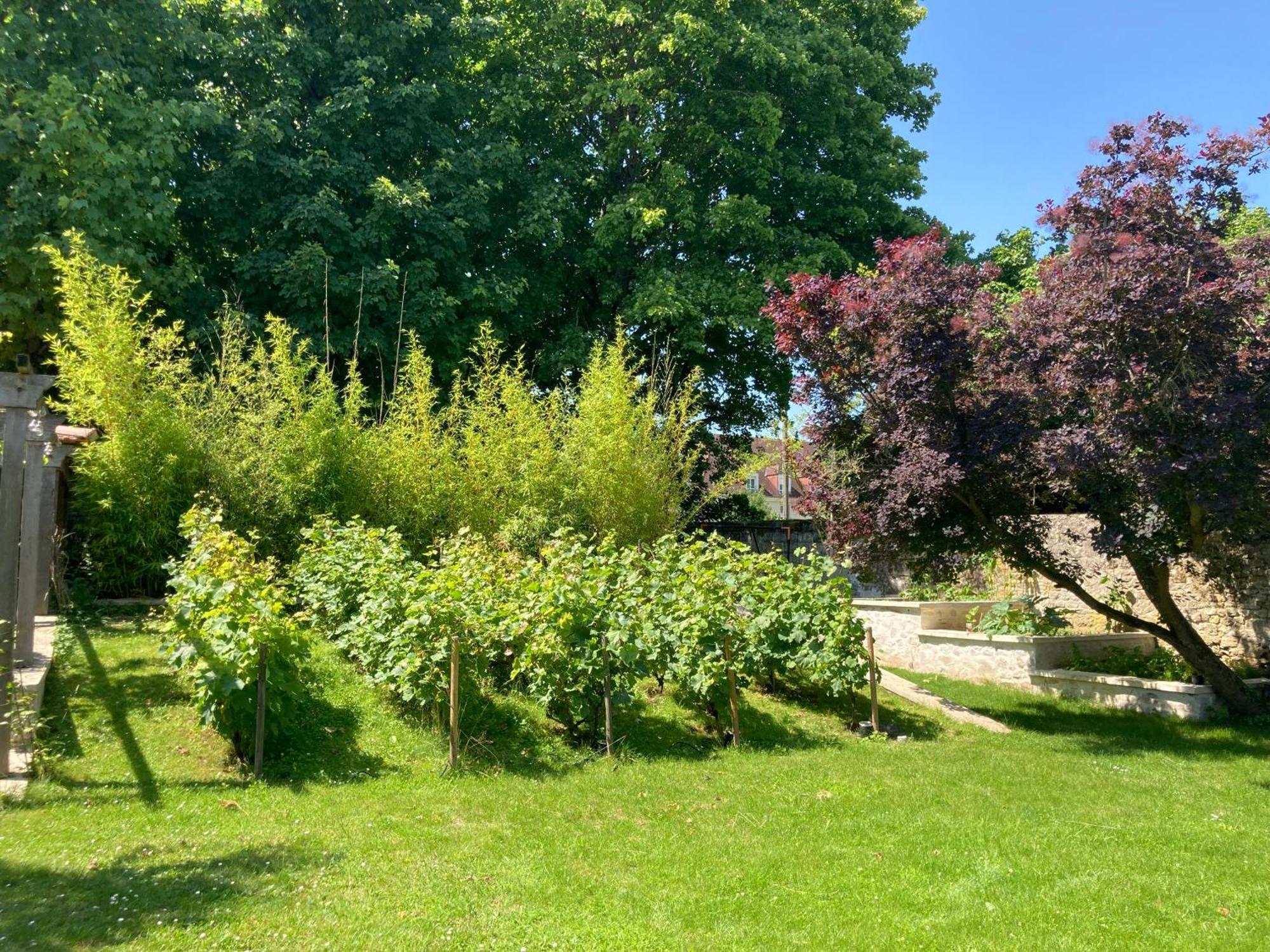 Bed and Breakfast Pierres Et Jardins Senlis  Esterno foto