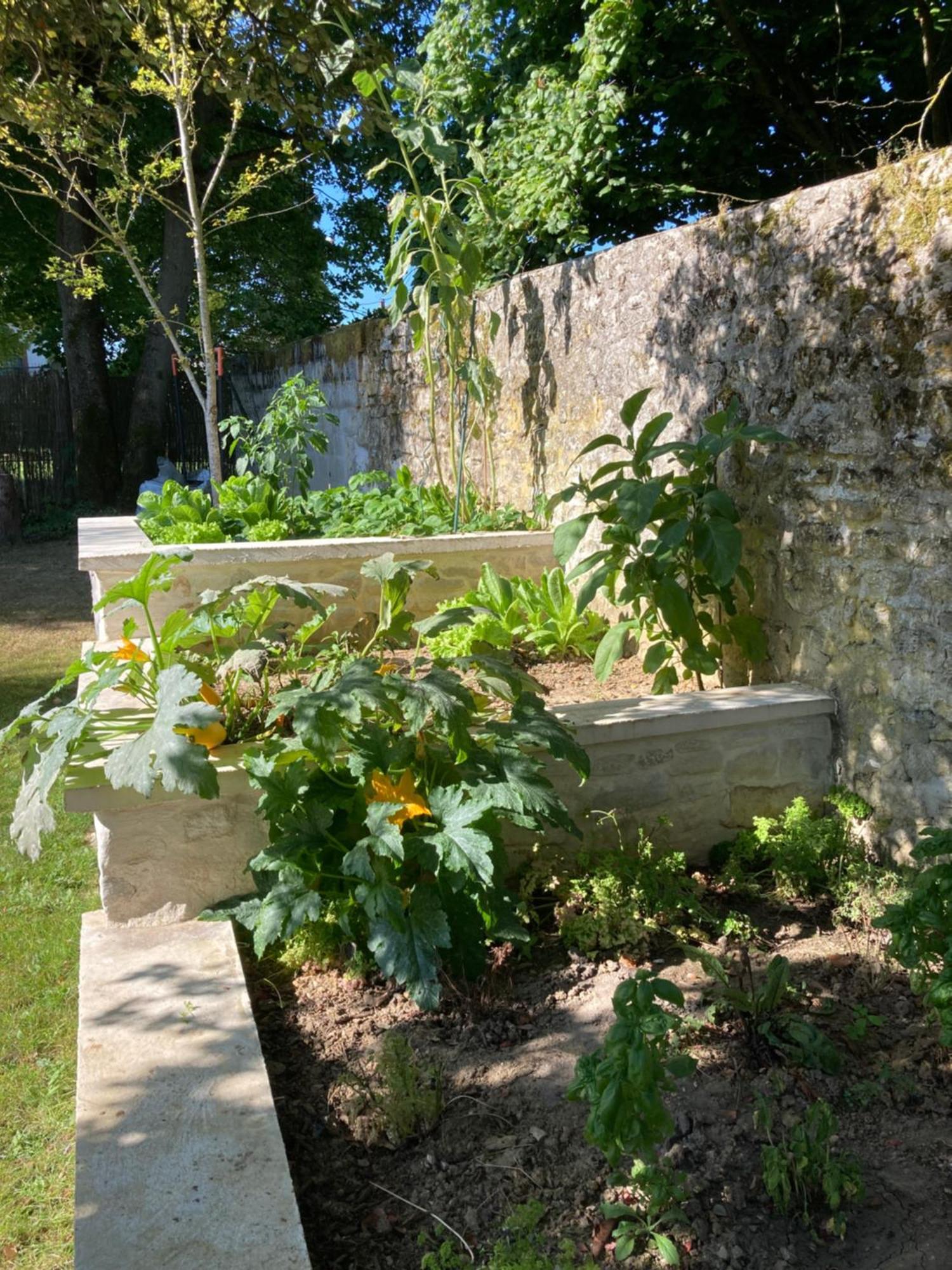 Bed and Breakfast Pierres Et Jardins Senlis  Esterno foto