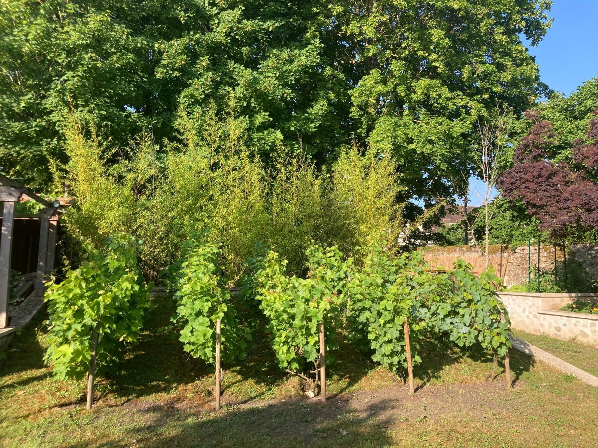Bed and Breakfast Pierres Et Jardins Senlis  Esterno foto